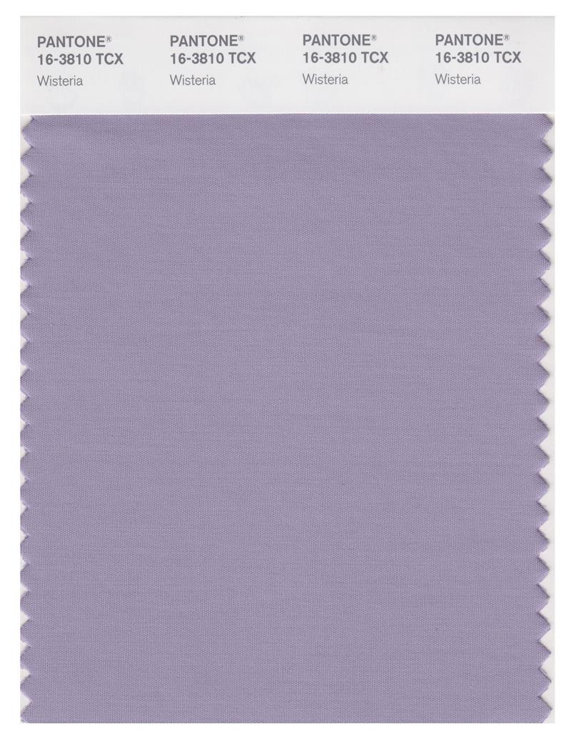 Pantone Smart 16-3810 TCX Color Swatch Card | Wisteria 