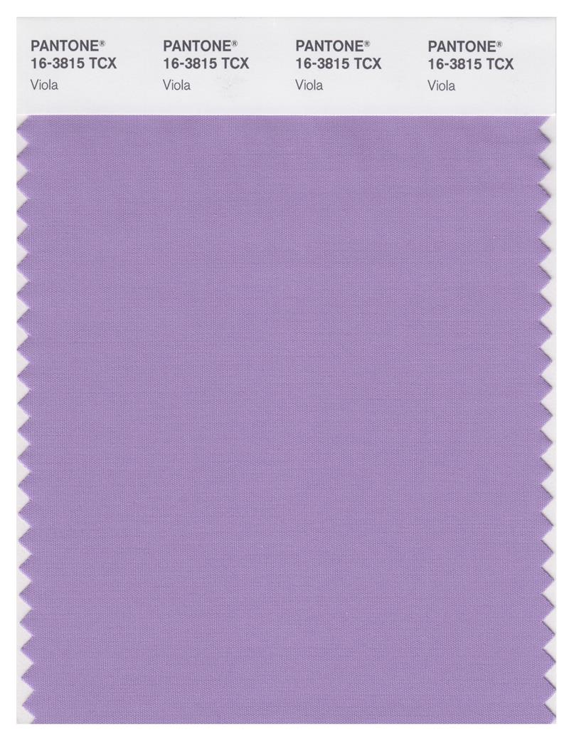 Pantone Smart 16-3815 TCX Color Swatch Card | Viola 