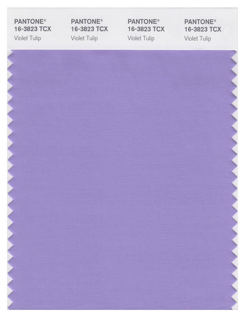 Pantone Smart 16-3823 TCX Color Swatch Card | Violet Tulip 