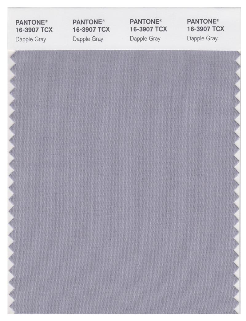 Pantone Smart 16-3907 TCX Color Swatch Card | Dapple Gray 