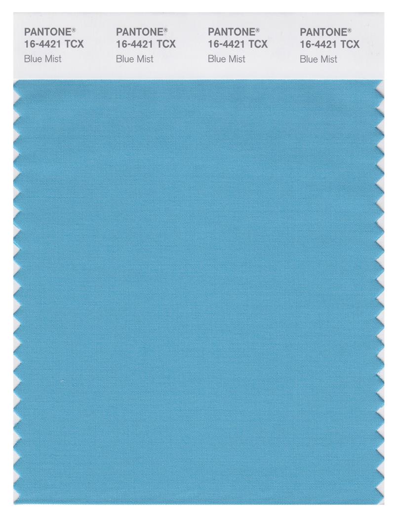 Pantone Smart 16-4421 TCX Color Swatch Card | Blue Mist 