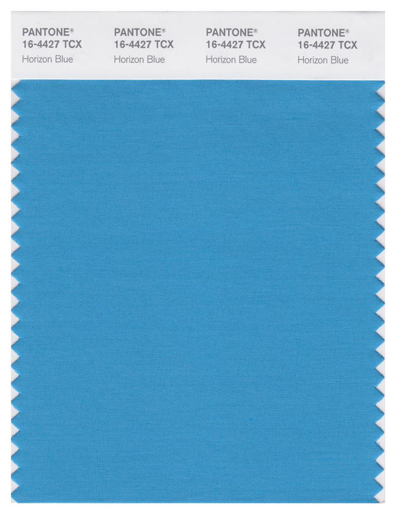 Pantone Smart 16-4427 TCX Color Swatch Card | Horizon Blue 