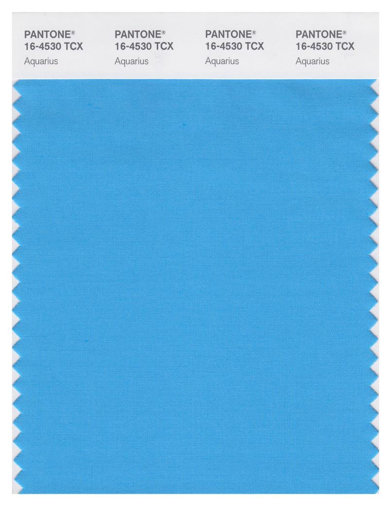 Pantone Smart 16-4530 TCX Color Swatch Card | Aquarius 