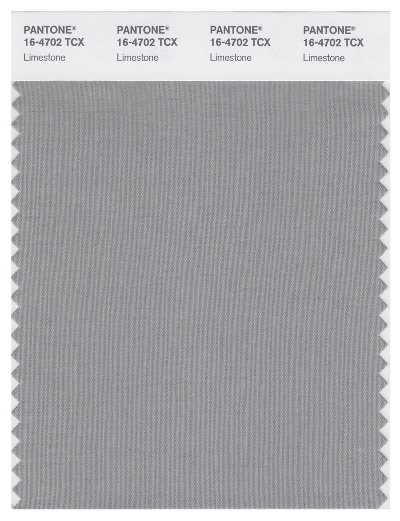 Pantone Smart 16-4702 TCX Color Swatch Card | Limestone 