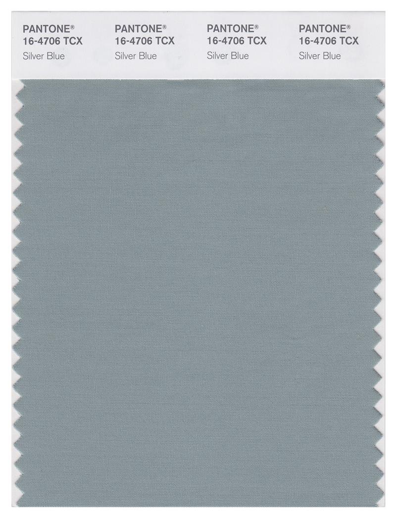 Pantone Smart 16-4706 TCX Color Swatch Card | Silver Blue 