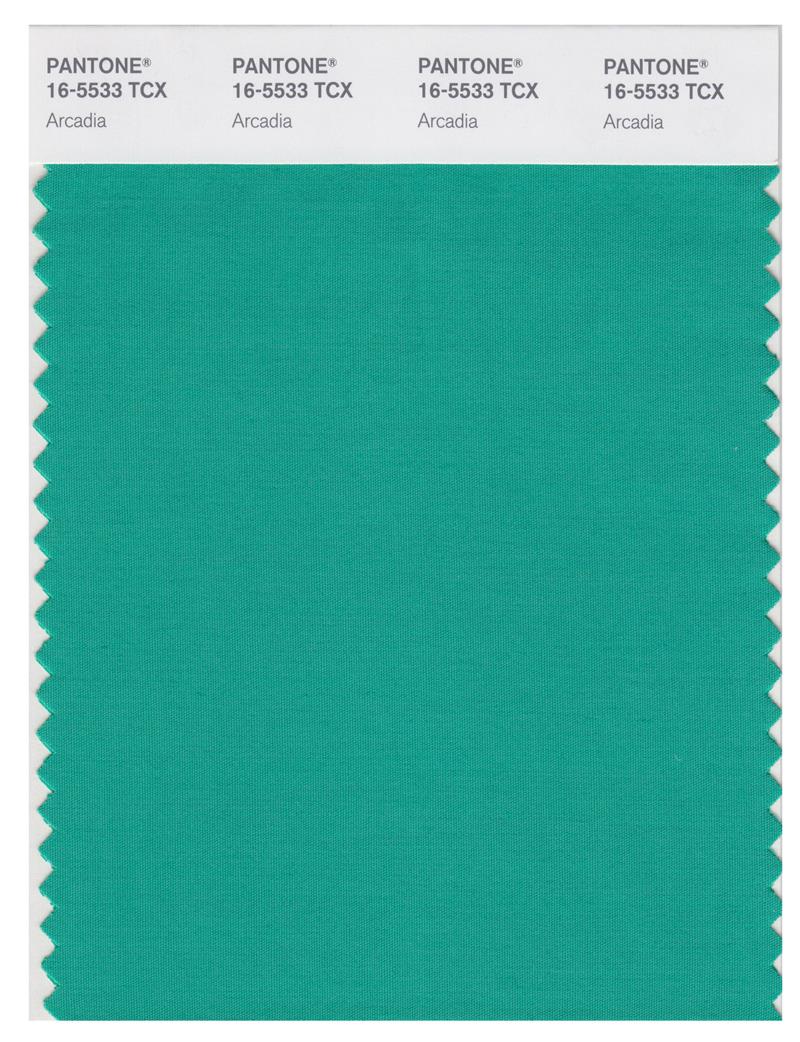 Pantone Smart 16-5533 TCX Color Swatch Card | Arcadia 