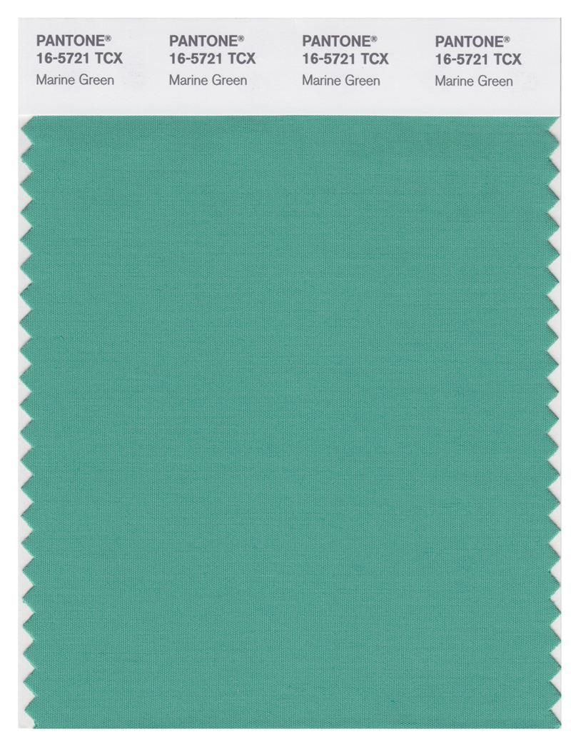 Pantone Smart 16-5721 TCX Color Swatch Card | Marine Green 