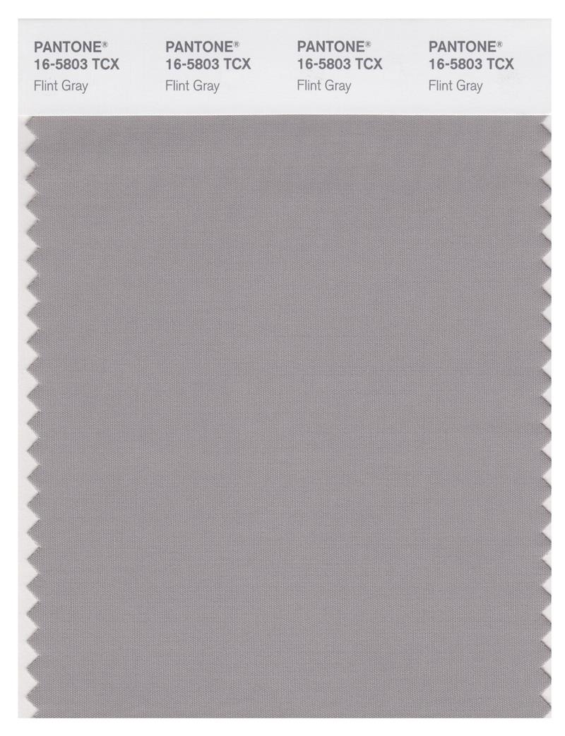 Pantone Smart 16-5803 TCX Color Swatch Card | Flint Gray 