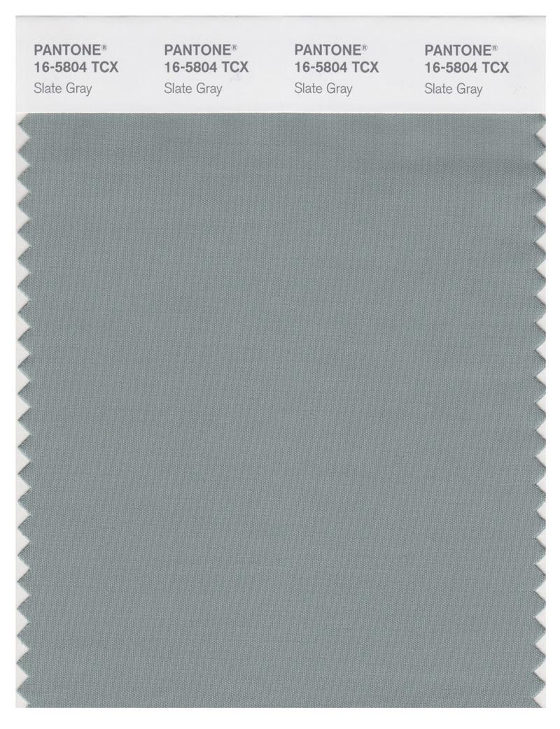 Pantone Smart 16-5804 TCX Color Swatch Card | Slate Gray 