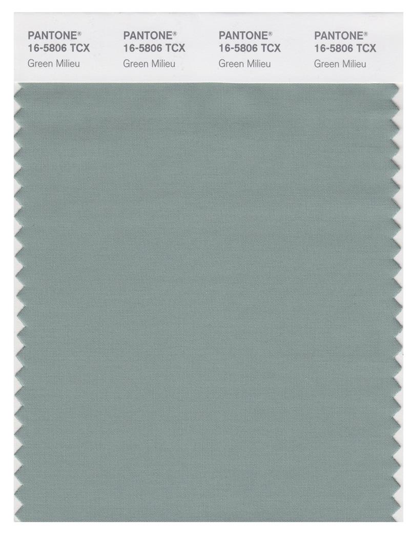 Pantone Smart 16-5806 TCX Color Swatch Card | Green Milieu 