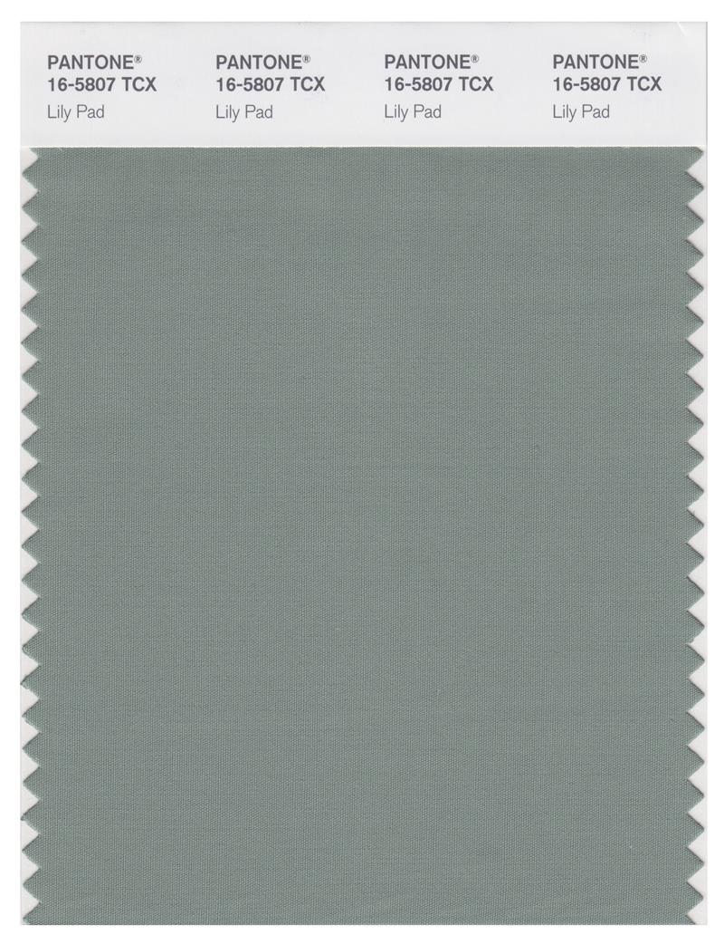 Pantone Smart 16-5807 TCX Color Swatch Card | Lily Pad 