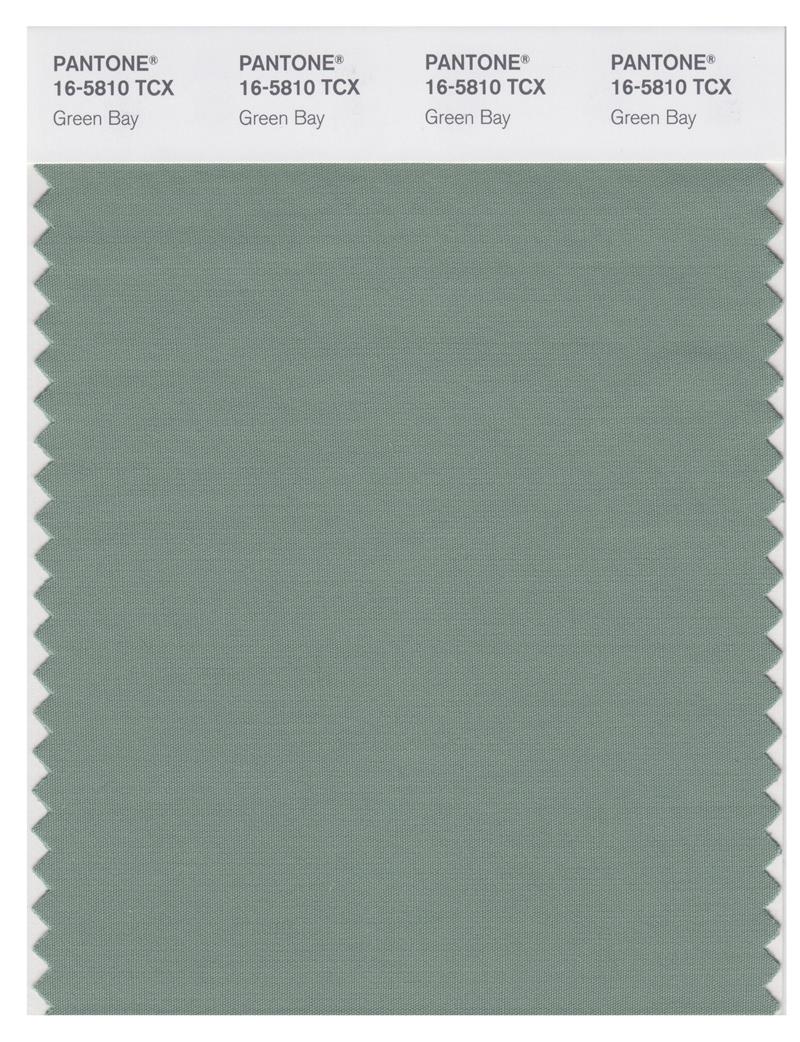 Pantone Smart 16-5810 TCX Color Swatch Card | Green Bay 