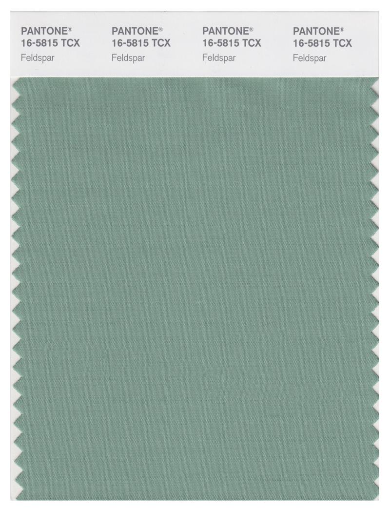 Pantone Smart 16-5815 TCX Color Swatch Card | Feldspar 