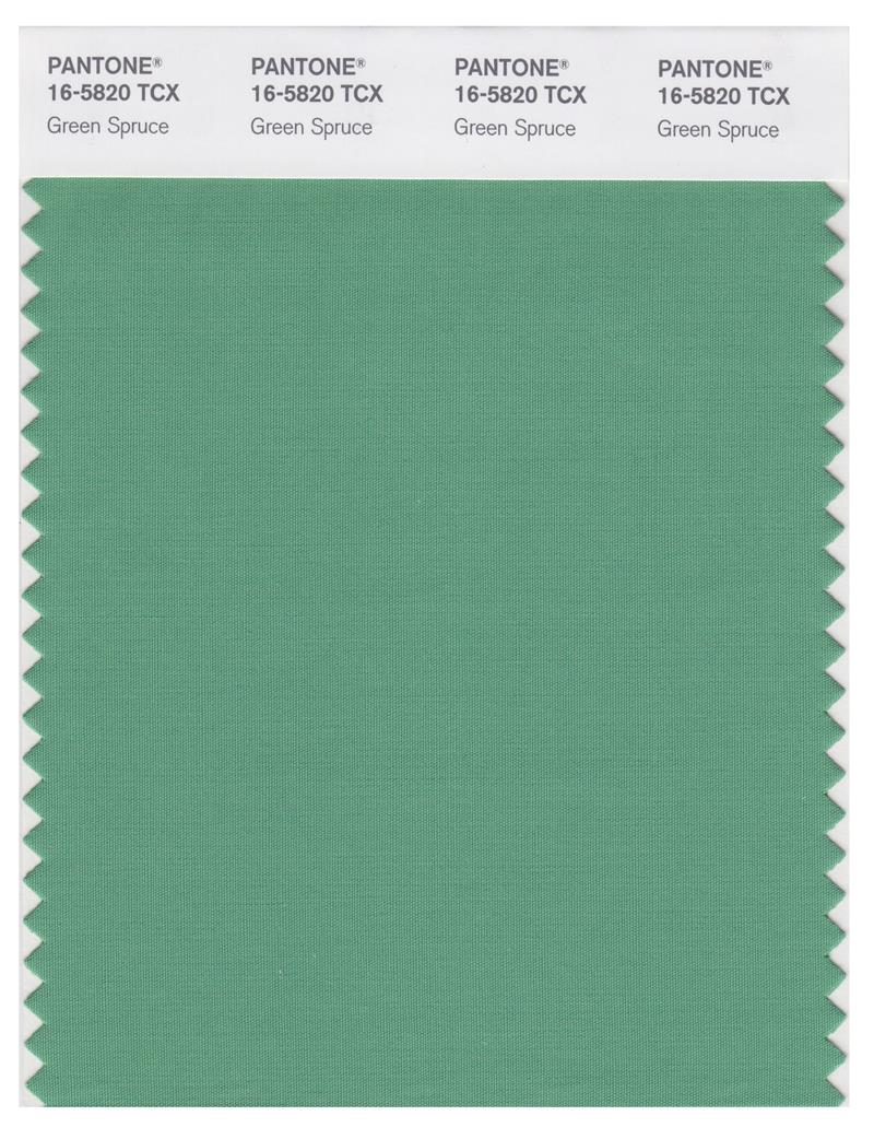 Pantone Smart 16-5820 TCX Color Swatch Card | Green Spruce 