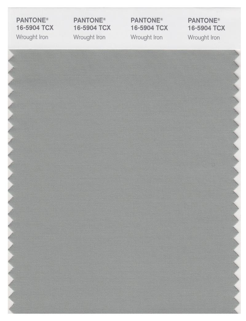 Pantone Smart 16-5904 TCX Color Swatch Card | Wrought Iron 