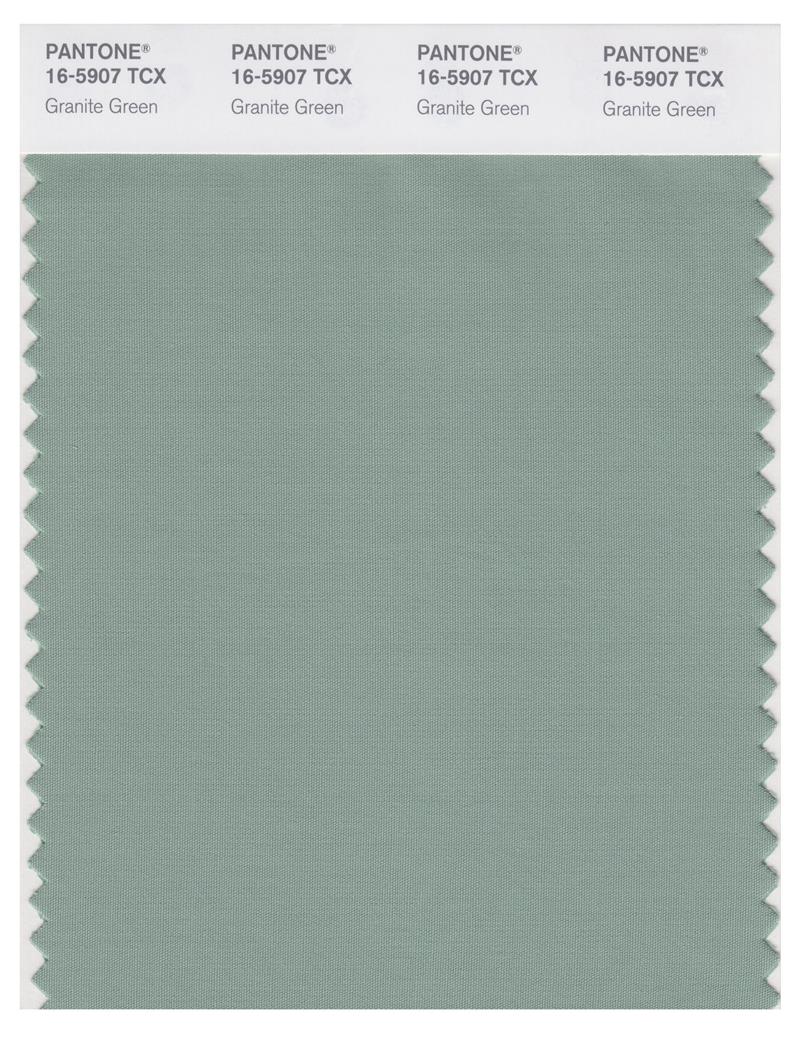 Pantone Smart 16-5907 TCX Color Swatch Card | Granite Green 