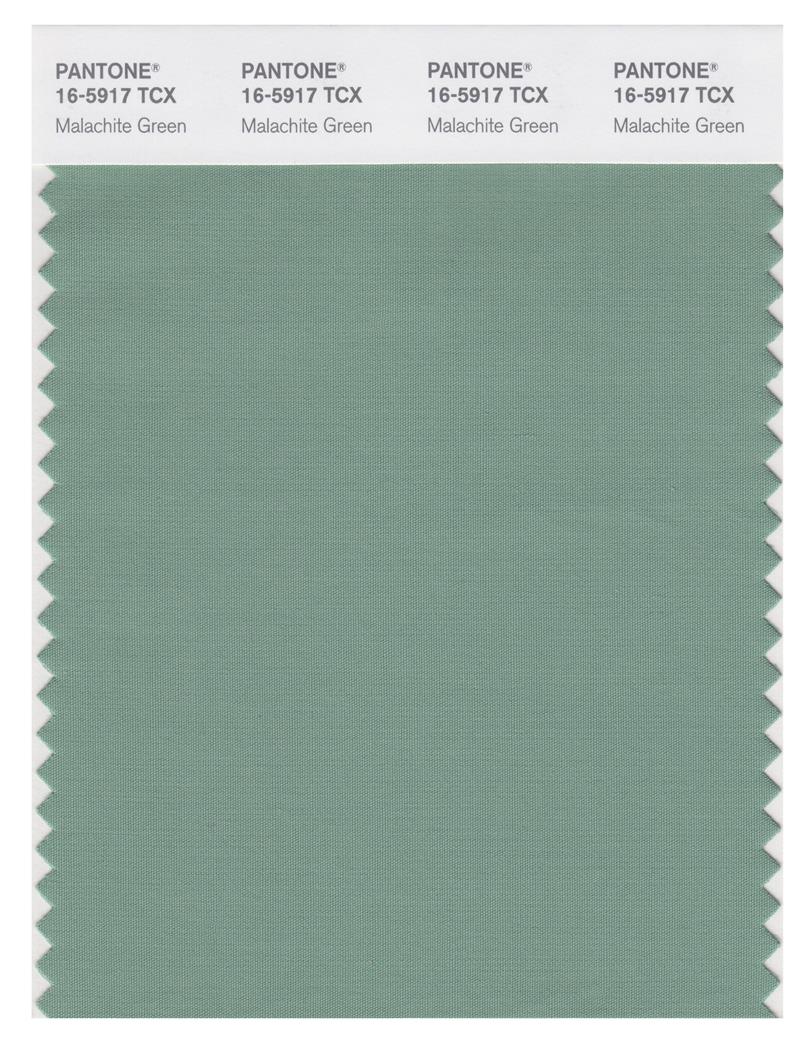 Pantone Smart 16-5917 TCX Color Swatch Card | Malachite Green 