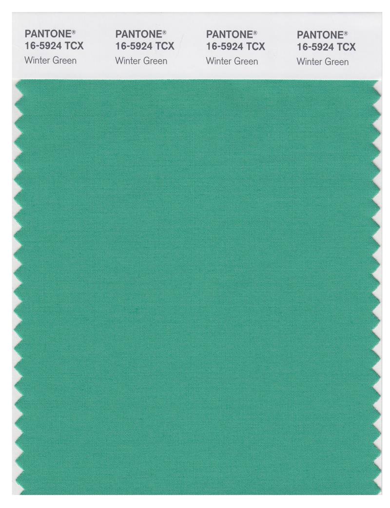 Pantone Smart 16-5924 TCX Color Swatch Card | Winter Green 