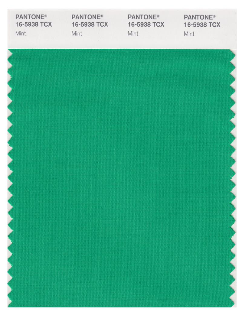 Pantone Smart 16-5938 TCX Color Swatch Card | Mint 