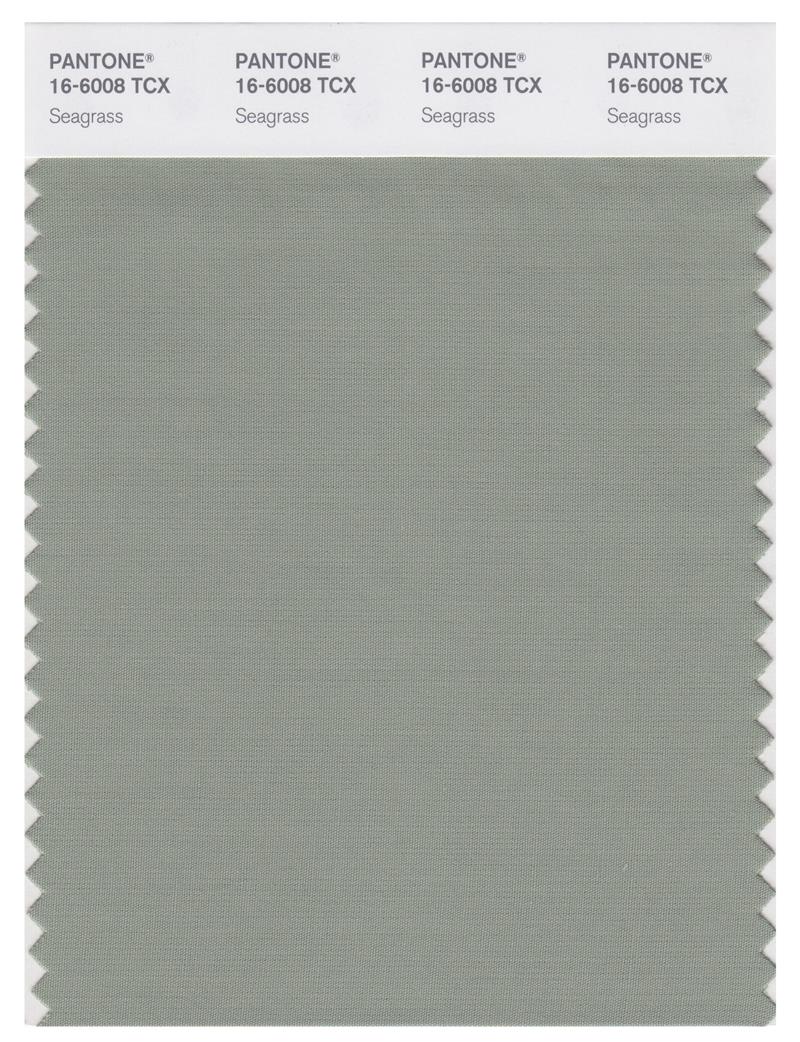 Pantone Smart 16-6008 TCX Color Swatch Card | Seagrass 