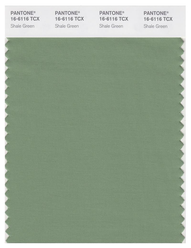 Pantone Smart 16-6116 TCX Color Swatch Card | Shale Green 