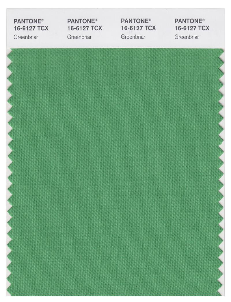 Pantone Smart 16-6127 TCX Color Swatch Card | Greenbriar 