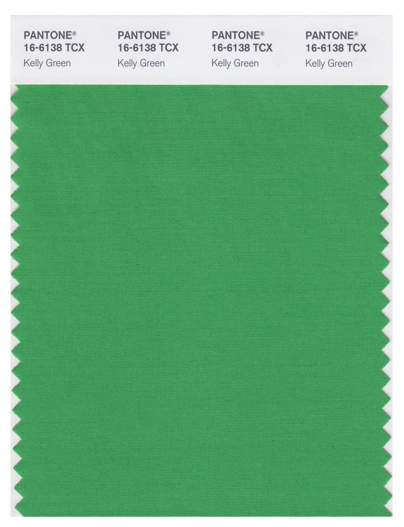 Pantone Smart 16-6138 TCX Color Swatch Card | Kelly Green 