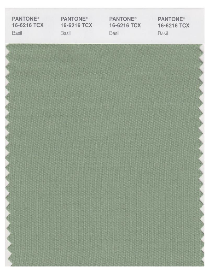 Pantone Smart 16-6216 TCX Color Swatch Card | Basil 