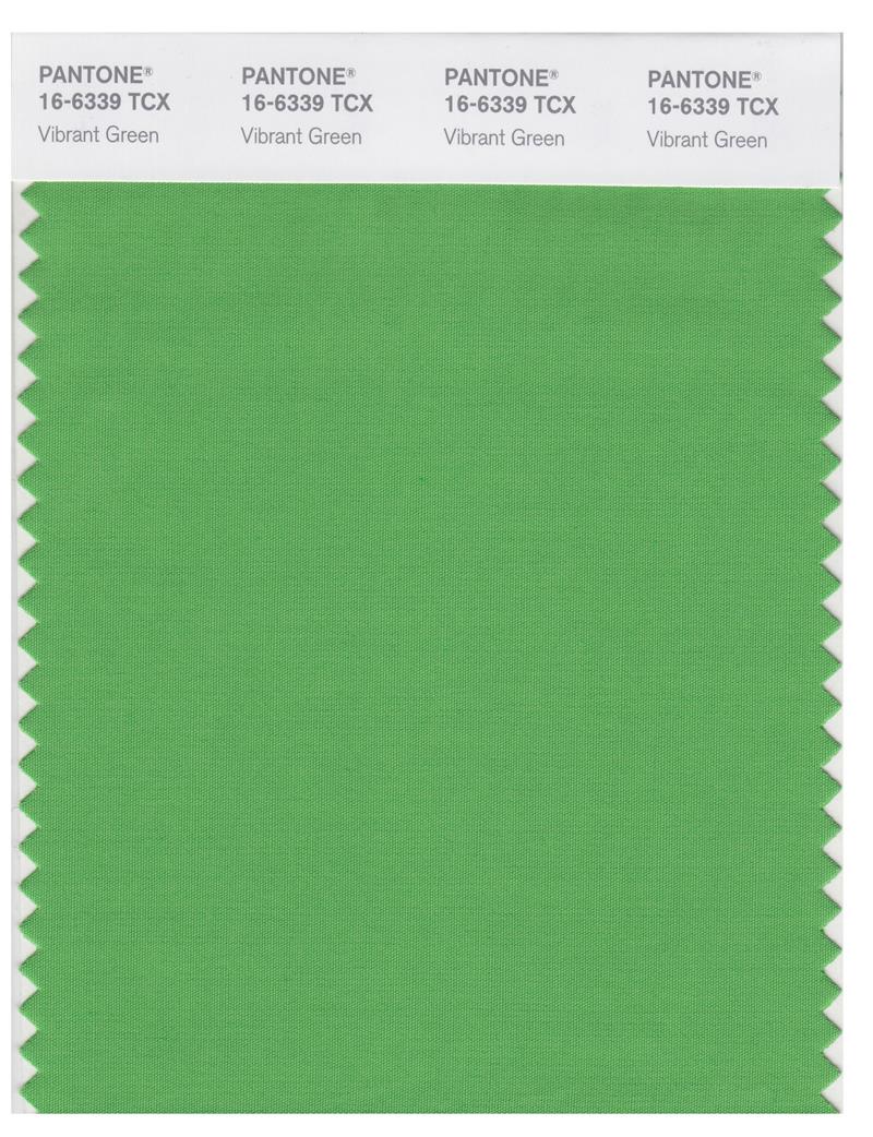 Pantone Smart 16-6339 TCX Color Swatch Card | Vibrant Green 