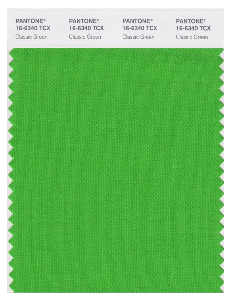 Pantone Smart 16-6340 TCX Color Swatch Card | Classic Green 