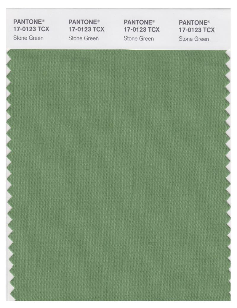 Pantone Smart 17-0123 TCX Color Swatch Card | Stone Green 