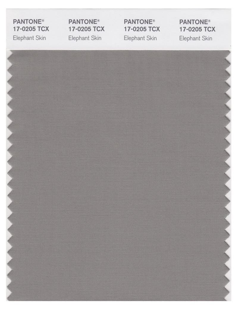 Pantone Smart 17-0205 TCX Color Swatch Card | Elephant Skin 