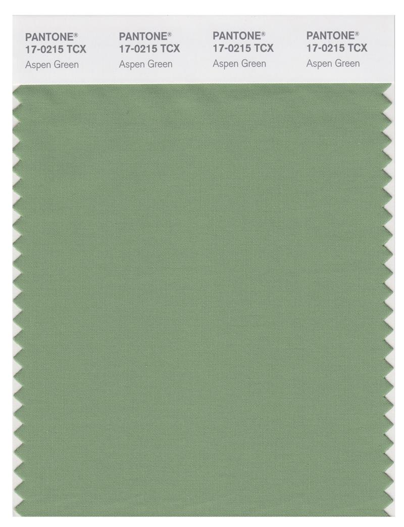 Pantone Smart 17-0215 TCX Color Swatch Card | Aspen Green 