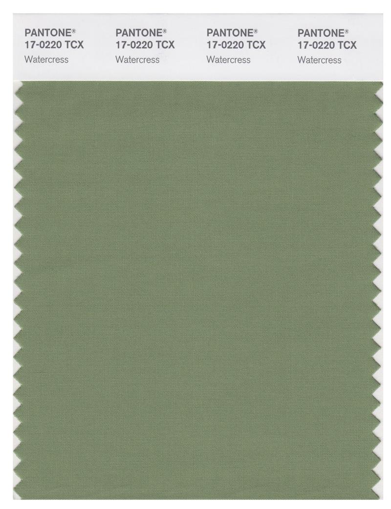 Pantone Smart 17-0220 TCX Color Swatch Card | Watercress 