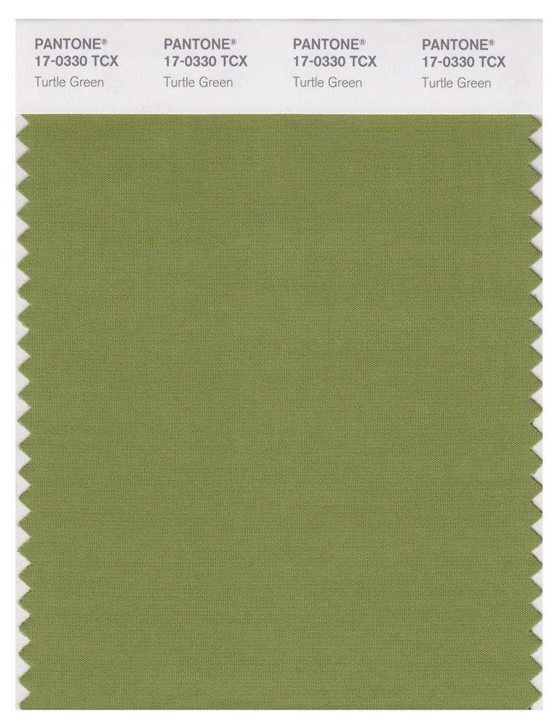 Pantone Smart 17-0330 TCX Color Swatch Card | Turtle Green 