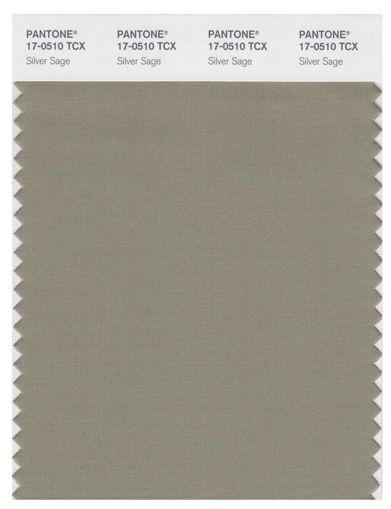 Pantone Smart 17-0510 TCX Color Swatch Card | Silver Sage 