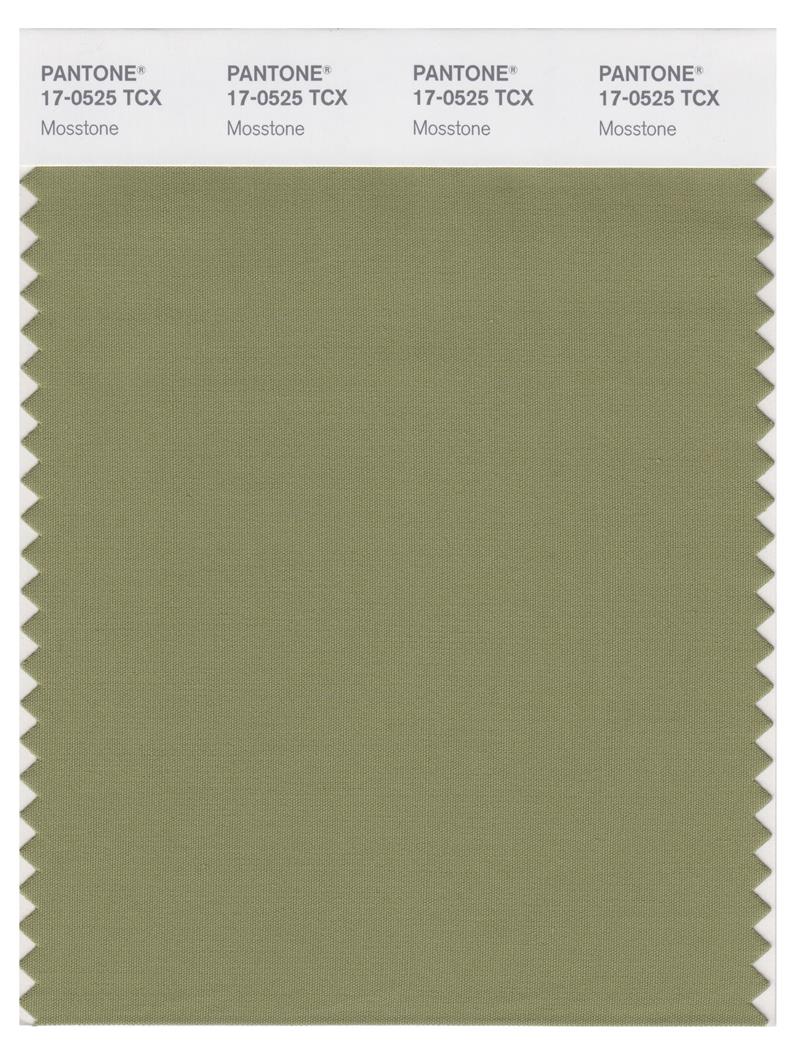 Pantone Smart 17-0525 TCX Color Swatch Card | Mosstone 