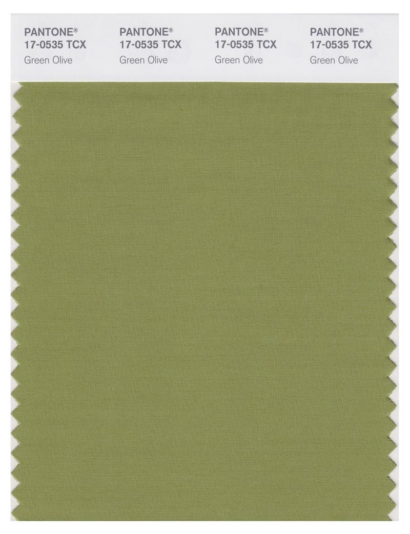 Pantone Smart 17-0535 TCX Color Swatch Card | Green Olive 