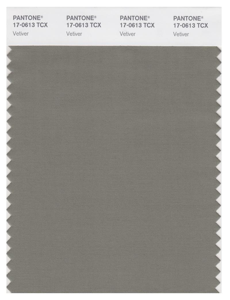 Pantone Smart 17-0613 TCX Color Swatch Card | Vetiver 