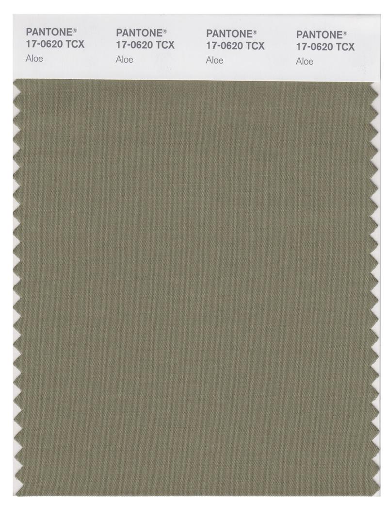 Pantone Smart 17-0620 TCX Color Swatch Card | Aloe 