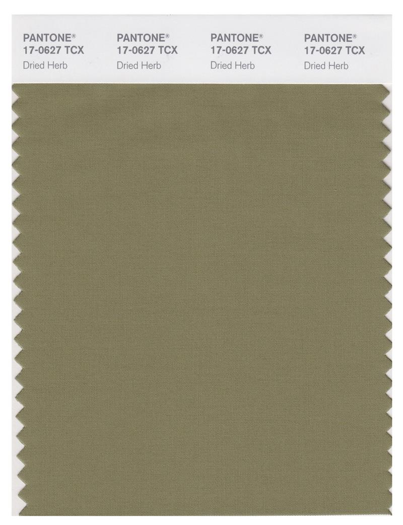 Pantone Smart 17-0627 TCX Color Swatch Card | Dried Herb 