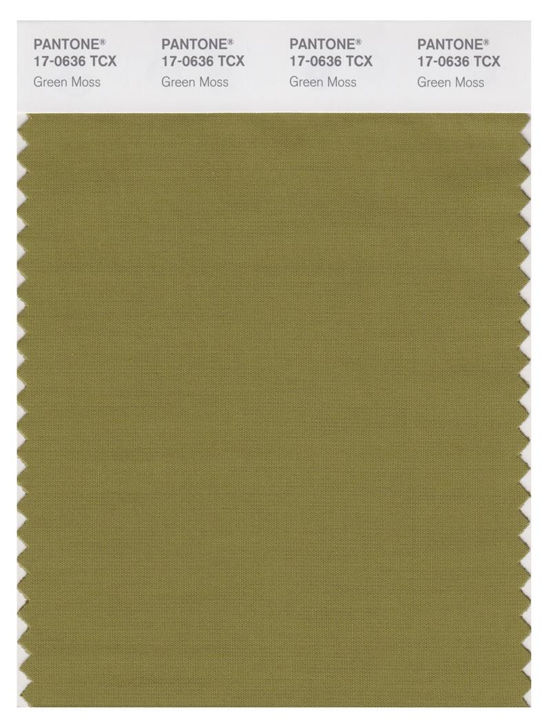 Pantone Smart 17-0636 TCX Color Swatch Card | Green Moss 