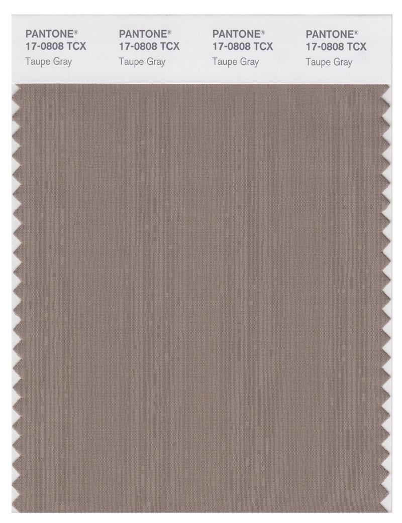 Pantone Smart 17-0808 TCX Color Swatch Card | Taupe Gray 