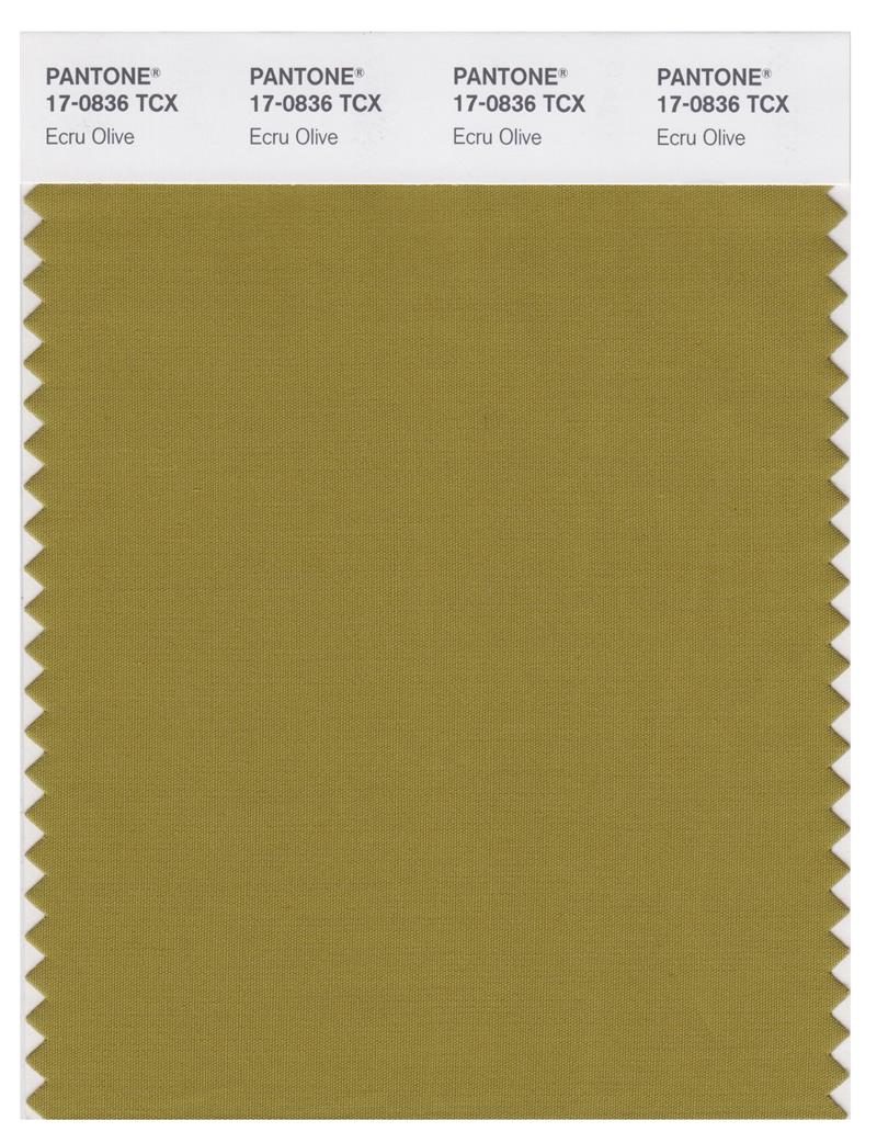 Pantone Smart 17-0836 TCX Color Swatch Card | Ecru Olive 