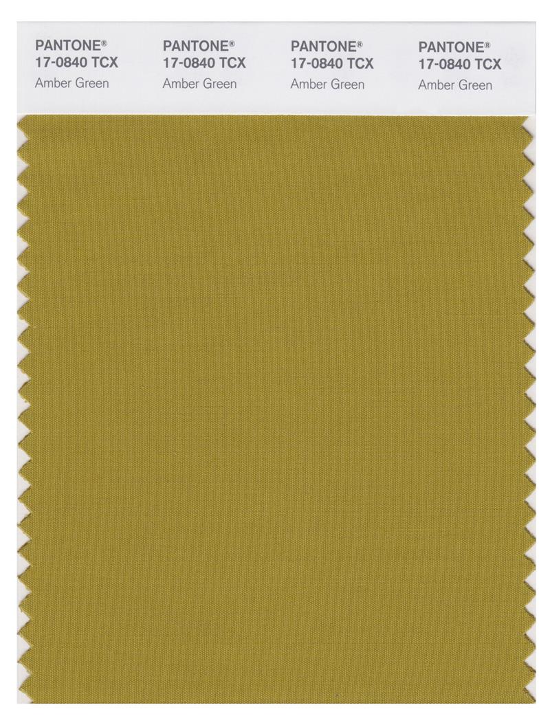 Pantone Smart 17-0840 TCX Color Swatch Card | Amber Green 