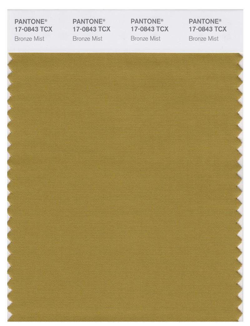 Pantone Smart 17-0843 TCX Color Swatch Card | Bronze Mist 