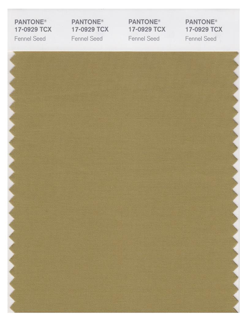 Pantone Smart 17-0929 TCX Color Swatch Card | Fennel Seed 