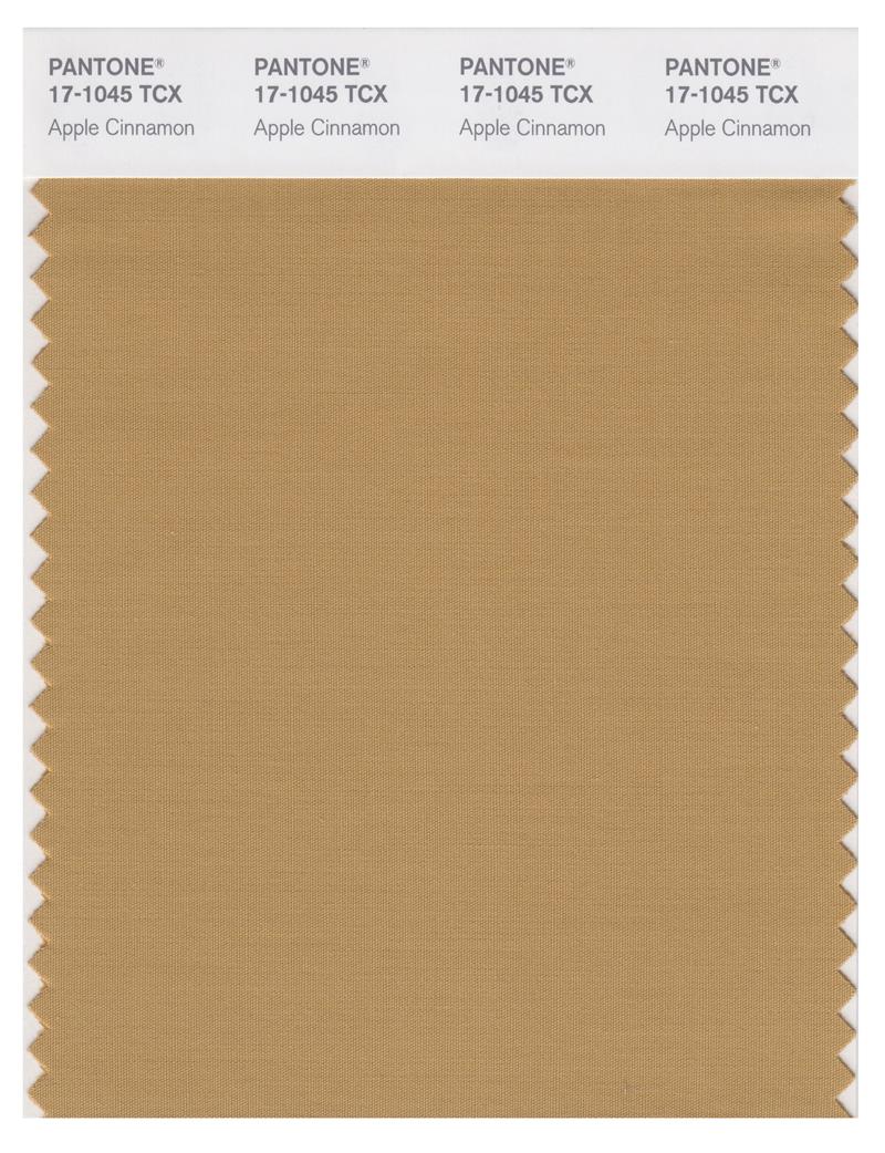 Pantone Smart 17-1045 TCX Color Swatch Card | Apple Cinnamon 