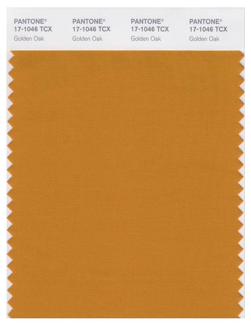 Pantone Smart 17-1046 TCX Color Swatch Card | Golden Oak 