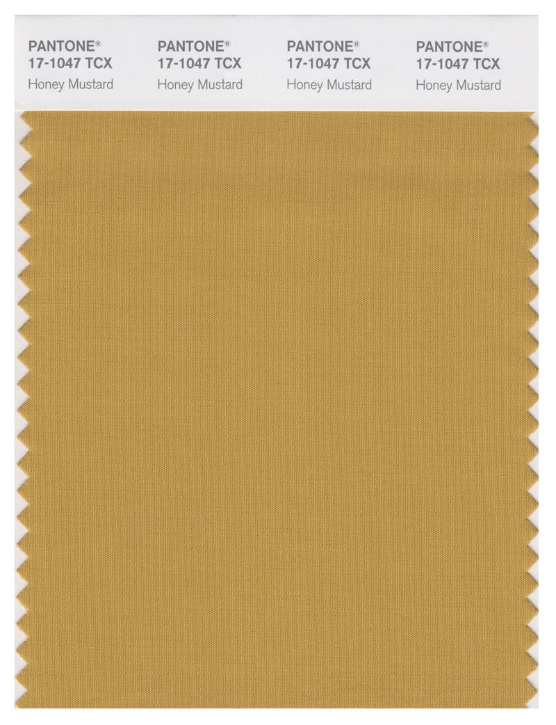 Pantone Smart 17-1047 TCX Color Swatch Card | Honey Mustard 